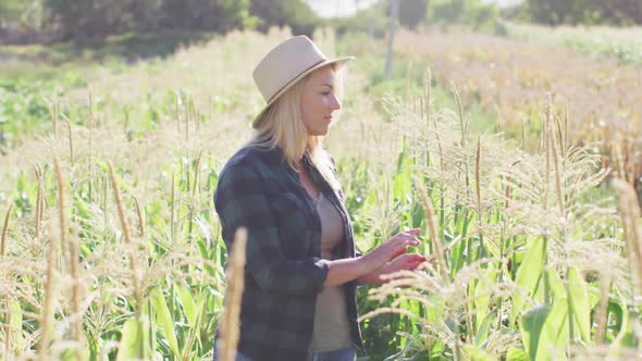 Video of happy caucasian woman using tablet in field on sunny day