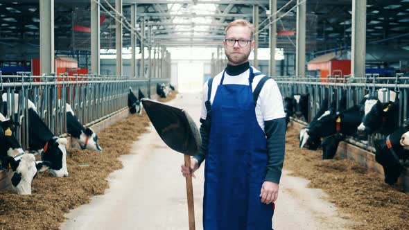 Farmworker with a Shovel Standing in the Cowhouse