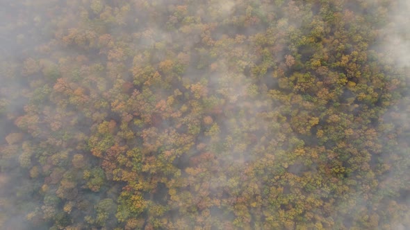 Aerial view of the fog flies over the autumn forest. The clouds are moving slowly,