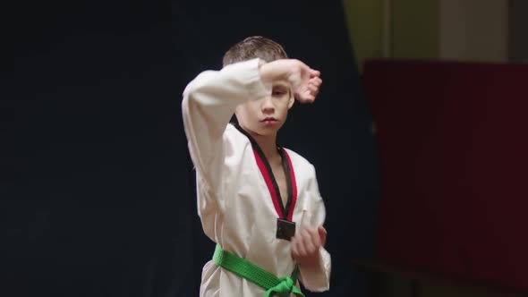 A Little Boy Doing Martial Arts