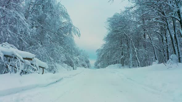 Cinematic Aerial View of a Cold Snowcovered Forest at the Top of a Hill