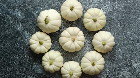 Composition of Cute White Baby Boo Mini Pumpkins Placed in Circle on Dark Stone Table