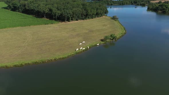 Lake of Rochereau in Vendée in France seen from the sky