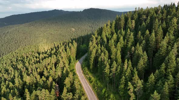 The Road Winding Through The Forest