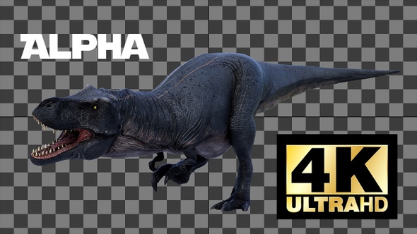 Dinosaur Tyrannosaurus Walk And Roar Loop With Alpha alt