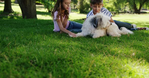 Siblings playing with their dog in the park