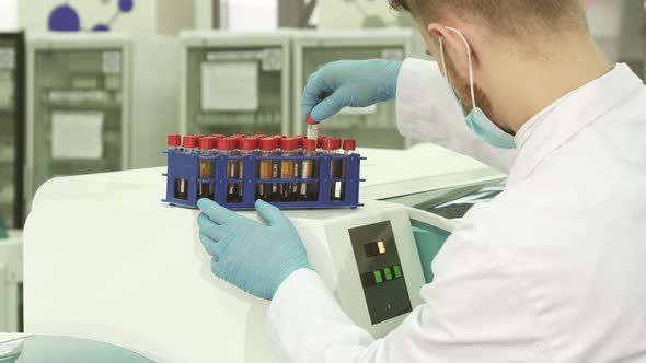 A Professional Lab Technician Checks Each of the Tubes Before Loading Them Into a Laboratory