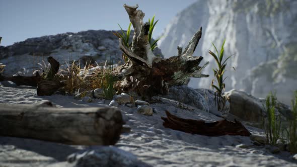 White Sand Beach Near Rocky Cliffs at Ocean alt