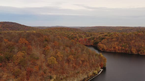 aerial dolly out over the orange colored tree tops & mountains. The drone camera flies on a cloudy d