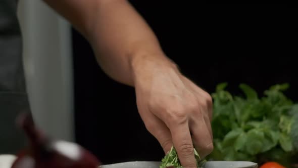 Professional Chef Washes Cilantro Leaves