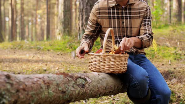 Man with Basket Picking Mushrooms in Forest