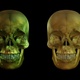 Skull Laughing - VideoHive Item for Sale