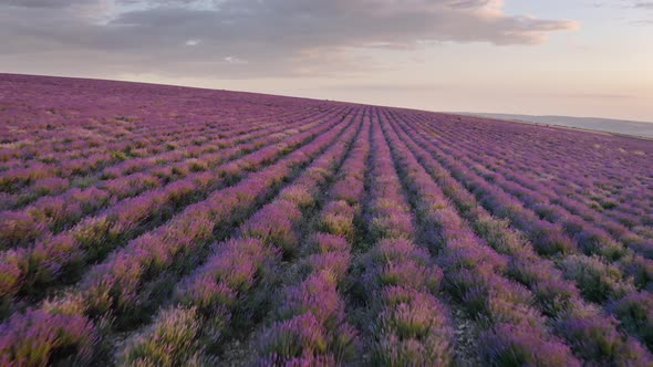 Aerial Nature Landscape Video