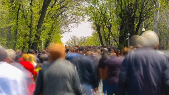 Time Lapse of Walking Blurred People on the Background of Green Trees Street Lights and Sky
