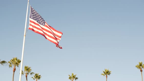 Palms and American Flag Los Angeles California USA