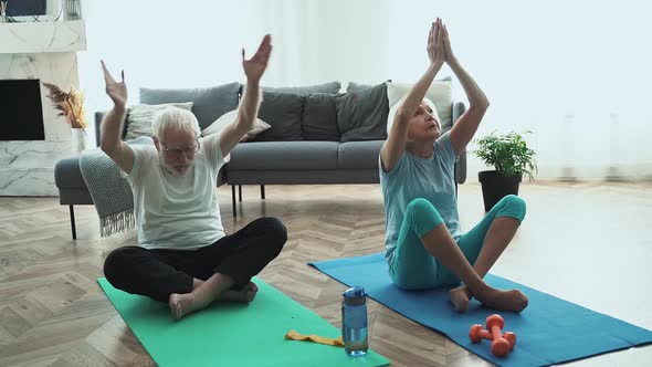 Old couple making exercises