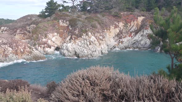 Coniferous Pine Cypress Tree Rock Crag or Cliff Ocean Beach California Coast