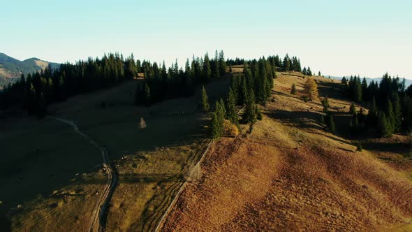 Drone View of Countryside Roads Going Amidst Green Coniferous Trees on Hill Against Cloudless Sky