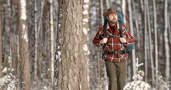 Bearded Hiker Having Rest Near Pine Tree