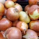 Pile of big brown onions in market, pan motion  - VideoHive Item for Sale