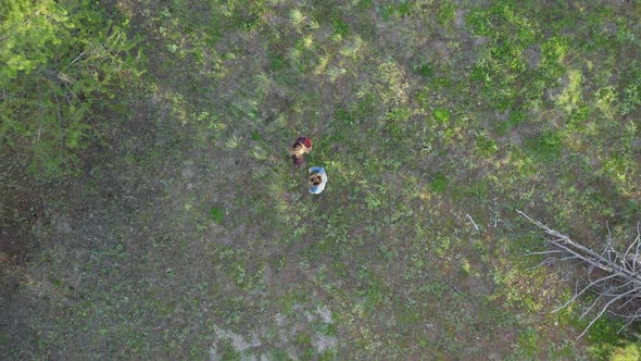 Rising aerial view of two girls in the middle of a forest