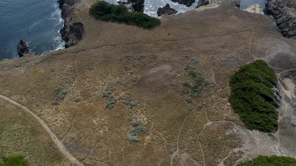 Aerial tilt-up high above the coast of Sea Ranch, California