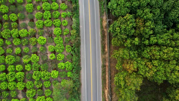 4K Aerial view over a farmer's garden. A car drives on a road near a garden in rural Thailand.