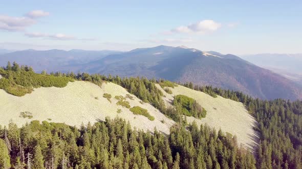 Wonderful Landscape From a Bird's Eye View