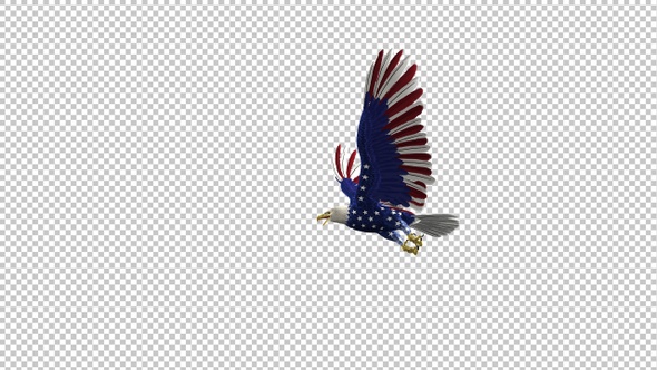 American Eagle - USA Flag - Flying Transition - III - 4K