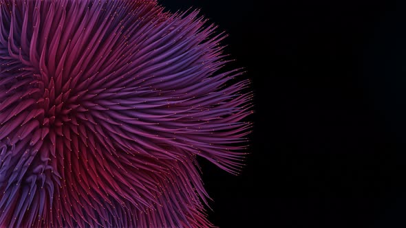 organic lines abstract animation. 4K red and blue mixed color