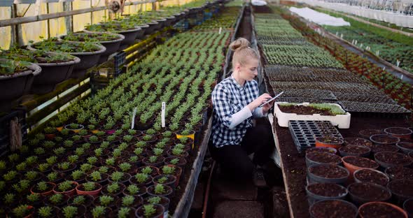 Gardener Using Digital Tablet in Greenhouse