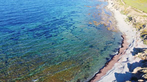 Blue Sea Reefs 4k 