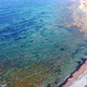 Blue Sea Reefs 4k - VideoHive Item for Sale