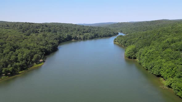 river forest landscape