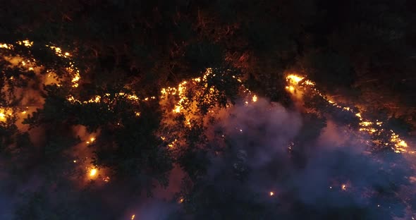 Aerial Panoramic View of a Forest Fire at Night Heavy Smoke Causes Air Pollution and Fire in Full