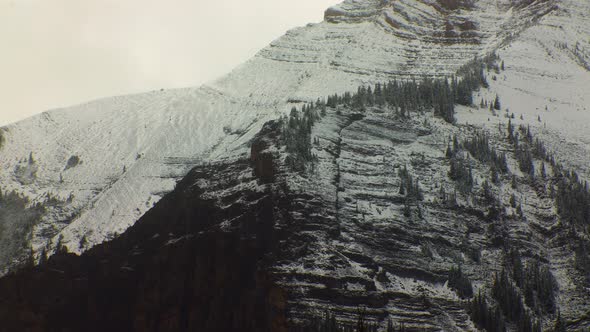 Mountain side with snow and pine trees close up