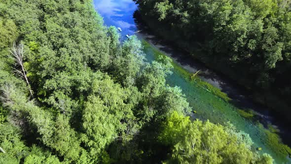 An environmentally friendly sport. Team rowing on sup along picturesque river