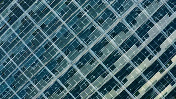 Establishing Shot of Venlo or Dutch Greenhouse Plant