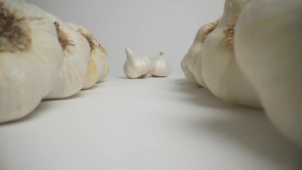 Garlic 54