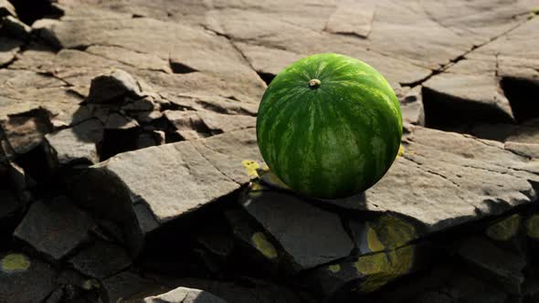 Watermelon Fruit Berry on Rocky Stones