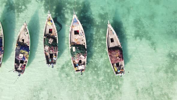 Boats in the Ocean Near the Coast of Zanzibar Tanzania