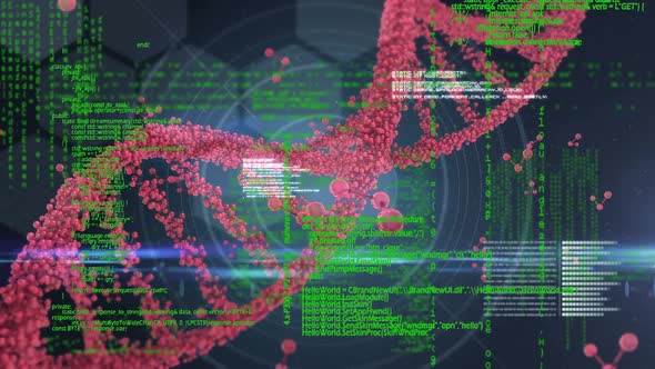 DNA double helix and digital codes