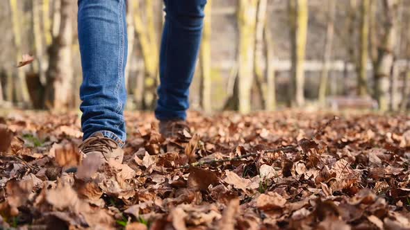 Playful Man Kicking Up a Pile of Colorful Leaves During a Walk Through the Idyllic Park in Fall. Man