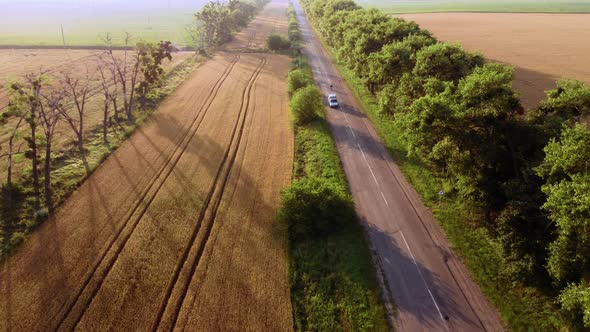 Aerial Drone View Flight Over Highway Wheat Field and Green Trees at Sunset Dawn