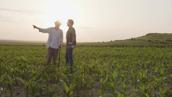 Two Farmers Stand on a Corn Field and Chat