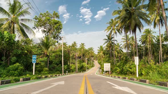 Beautiful road cutting through lush tropical jungle in summer