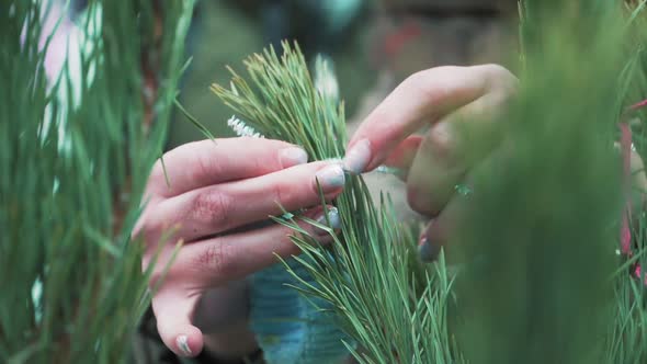 Decorate the Christmas tree toys. Close up, slow motion