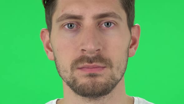 Man with a Beard Is Looking Straight. Close Up. Green Screen