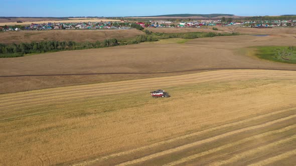 Harvesting of Wheat in Summer