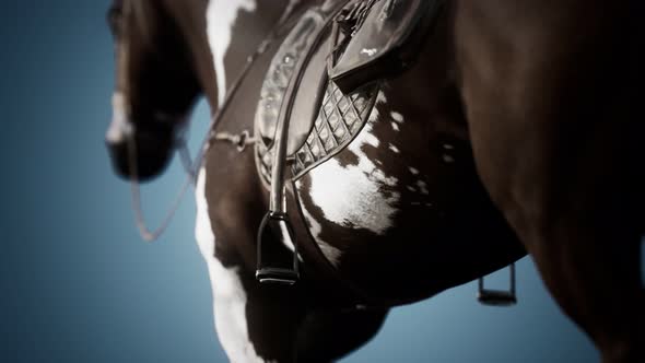 Saddle with Stirrups on a Back of a Horse